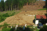 Vom Wald zum Garten