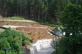 Vom Wald zum Garten