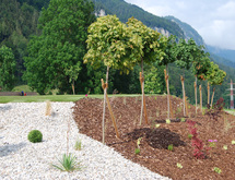 Von der Gartenplanung bis zur Ausführung