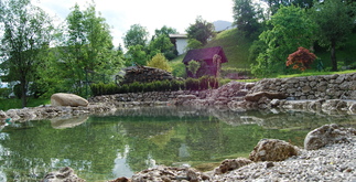 Wasser im Garten